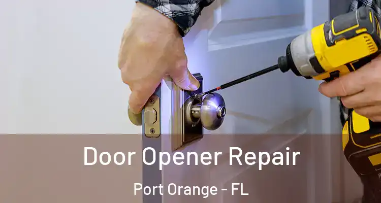  Door Opener Repair Port Orange - FL