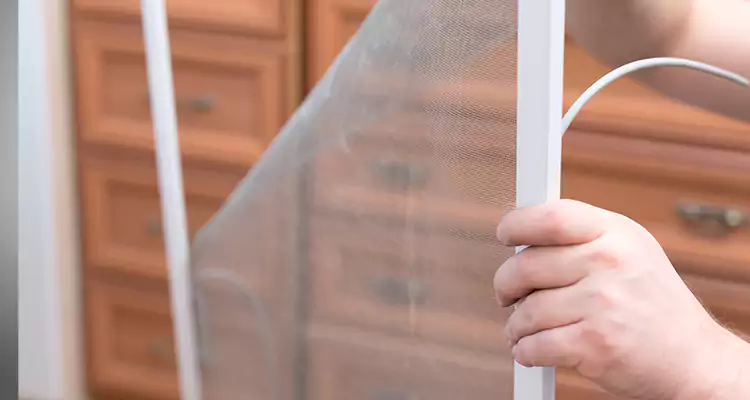 Privacy Mesh Screen Door Installation in Port Orange, FL