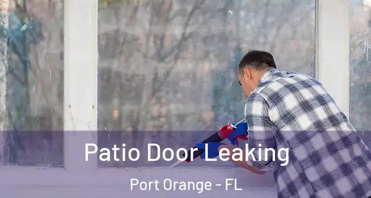  Patio Door Leaking Port Orange - FL