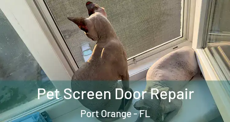  Pet Screen Door Repair Port Orange - FL