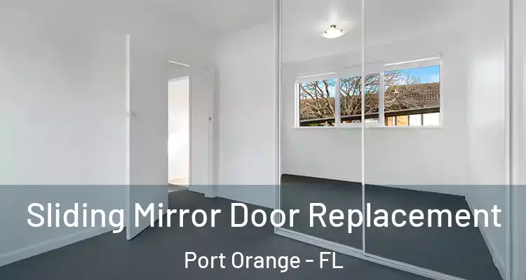 Sliding Mirror Door Replacement Port Orange - FL