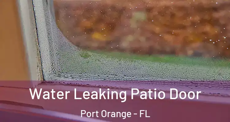  Water Leaking Patio Door Port Orange - FL